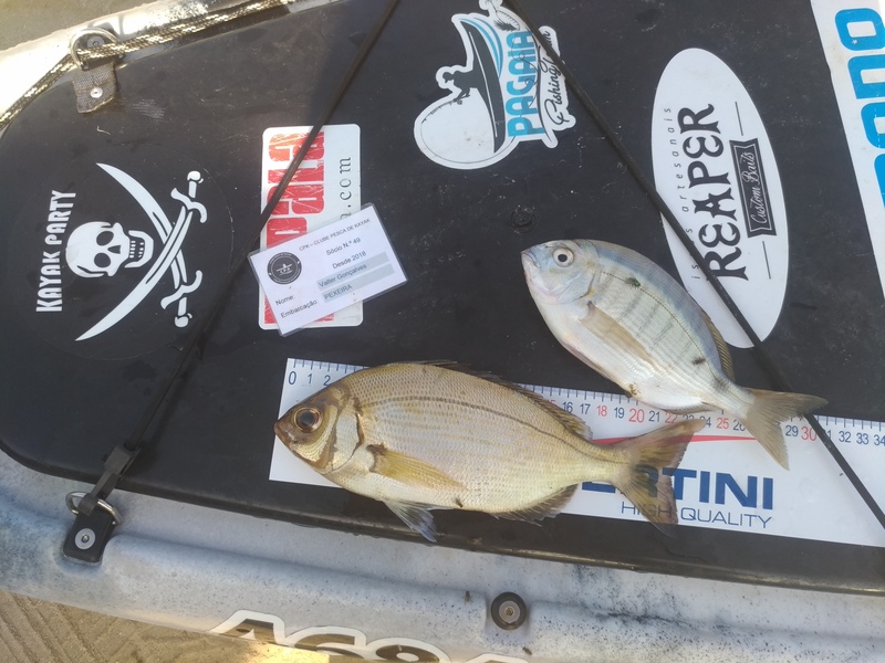 Fish Measure Picture