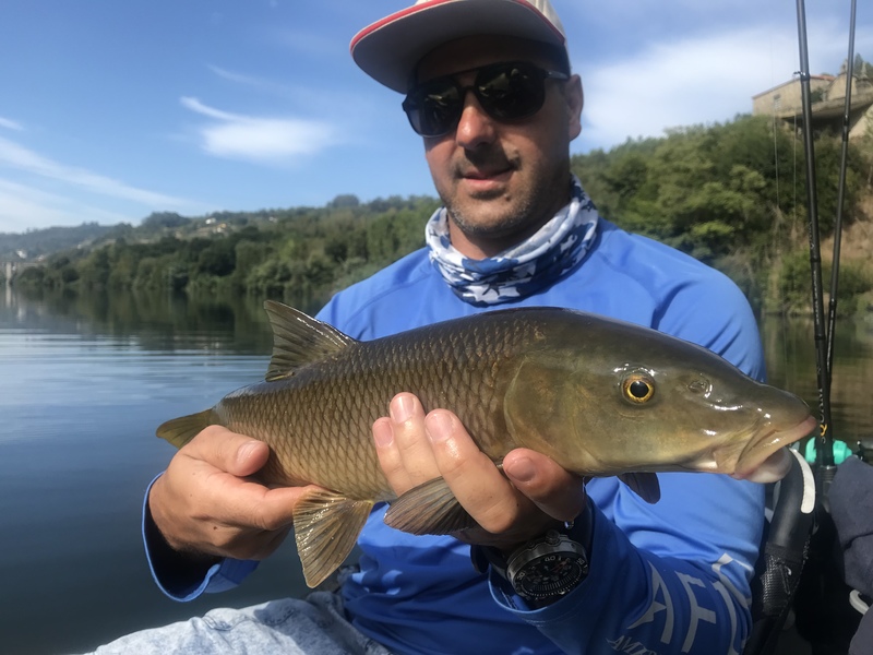 Fish Profile Picture