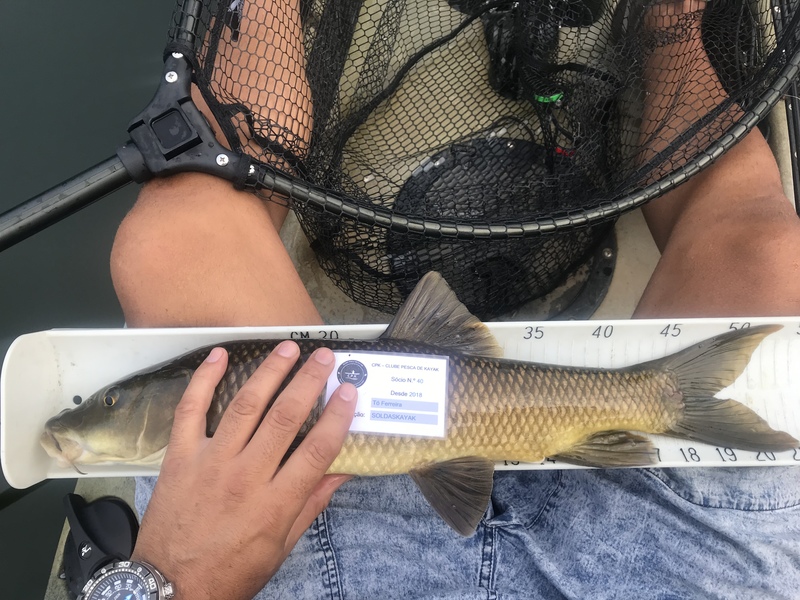 Fish Measure Picture