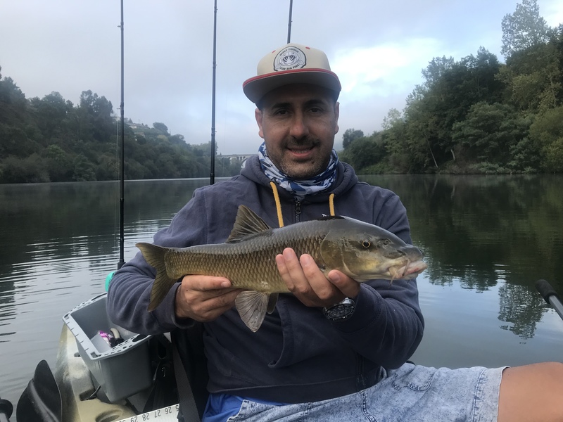 Fish Profile Picture