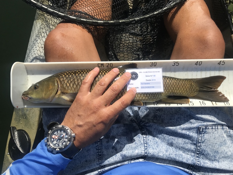 Fish Measure Picture