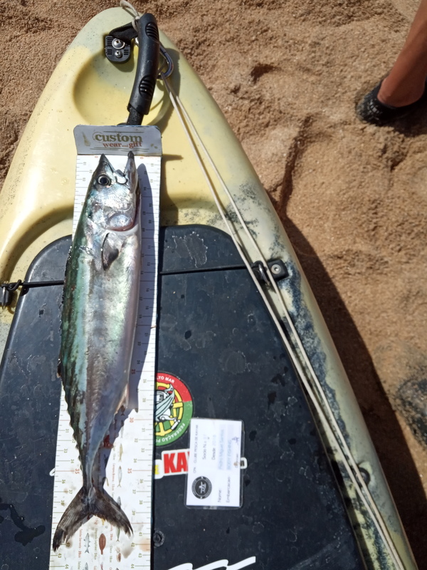 Fish Measure Picture