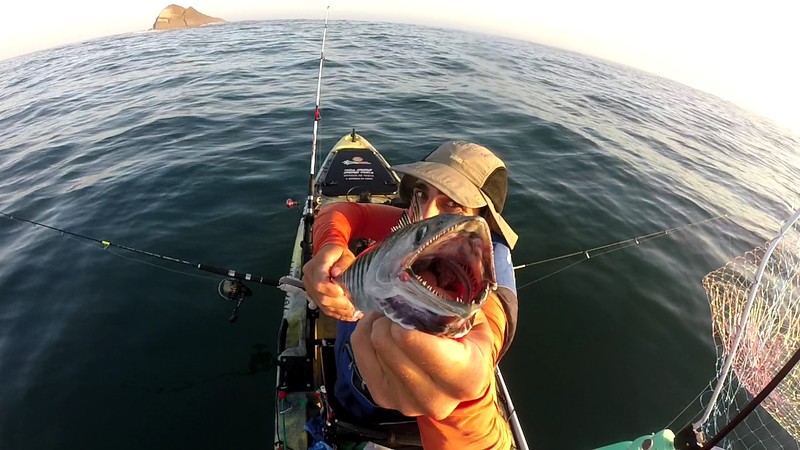 Fish Profile Picture