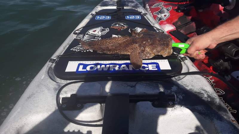 Fish Measure Picture