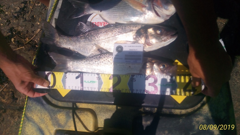 Fish Measure Picture