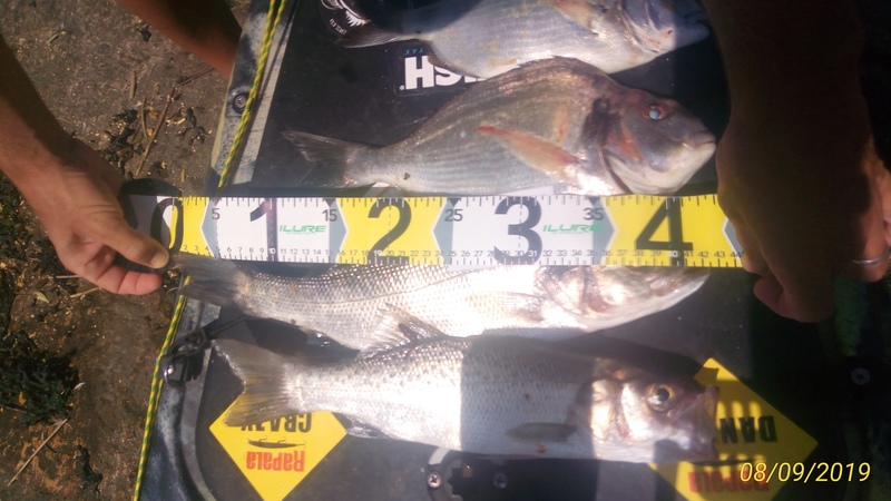 Fish Measure Picture