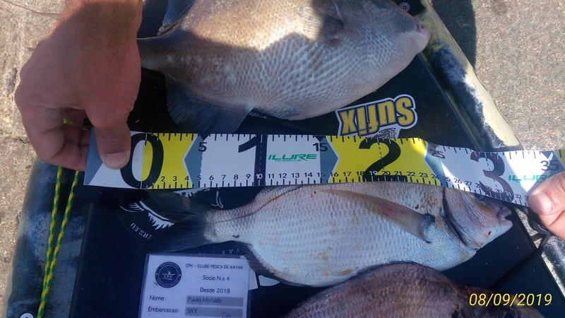 Fish Measure Picture