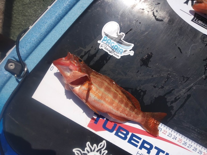 Fish Measure Picture