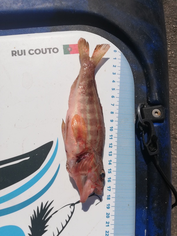 Fish Measure Picture