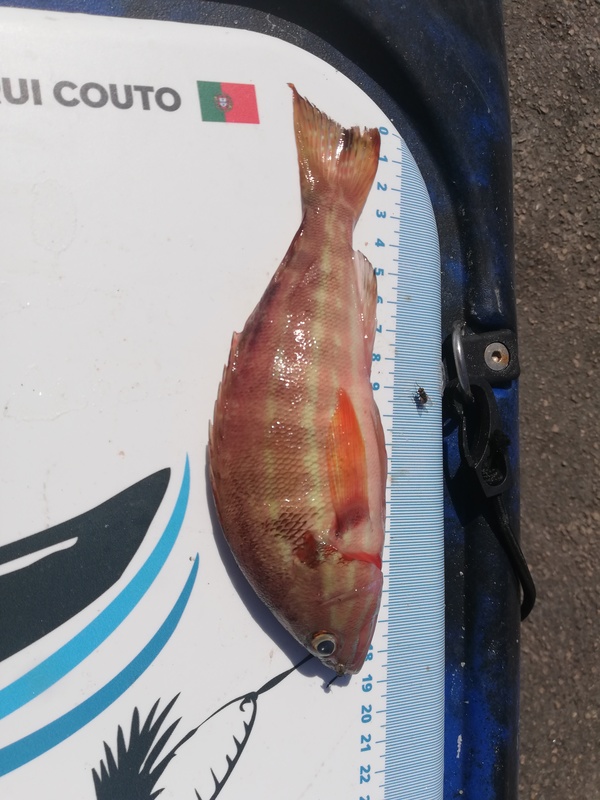 Fish Measure Picture