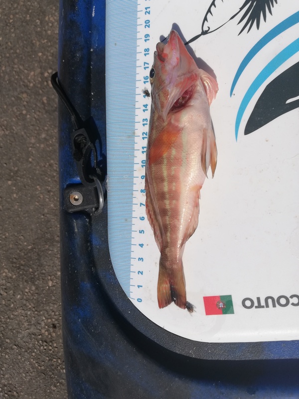 Fish Measure Picture