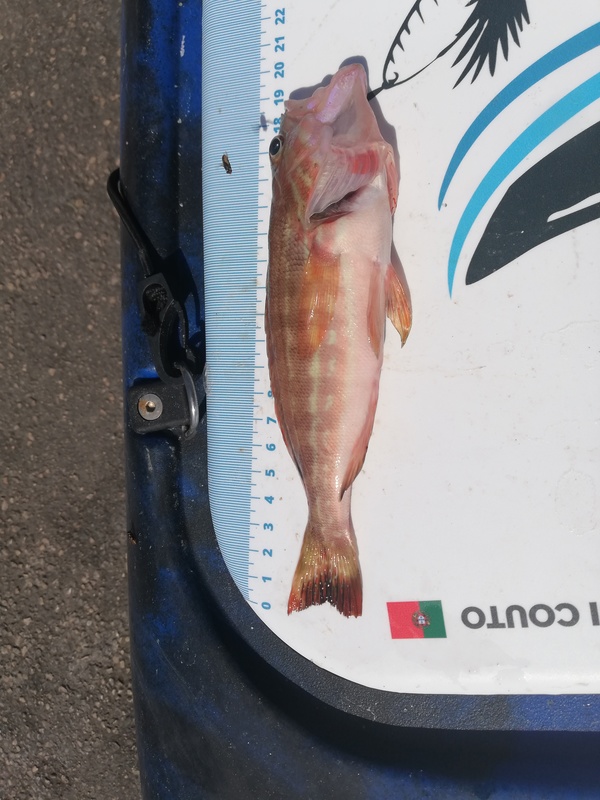 Fish Measure Picture