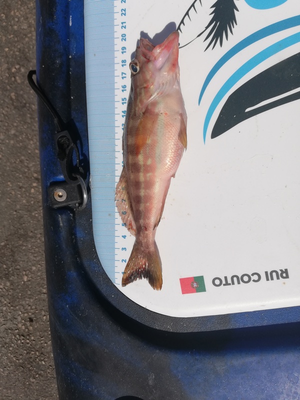 Fish Measure Picture