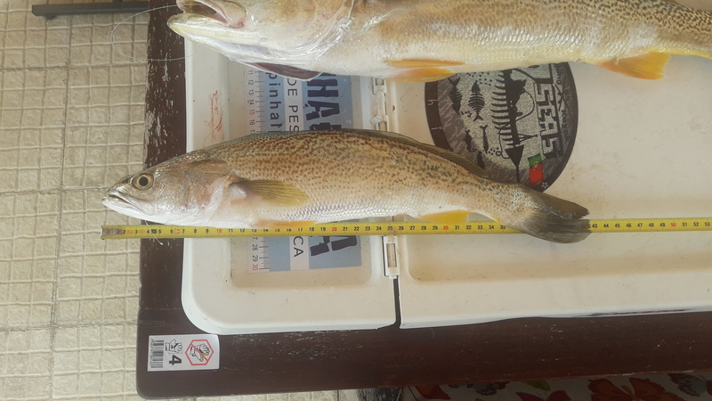 Fish Measure Picture