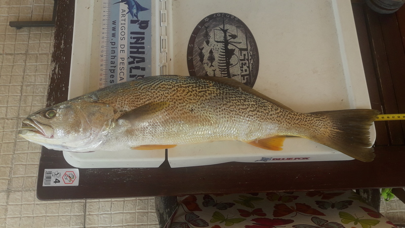 Fish Measure Picture
