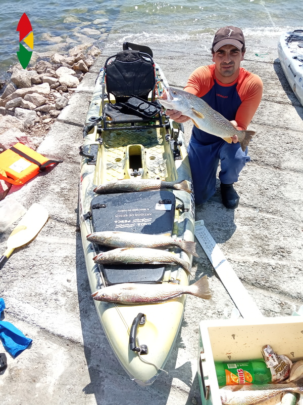 Fish Profile Picture