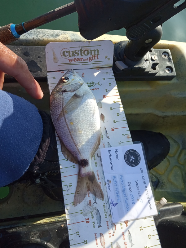 Fish Measure Picture