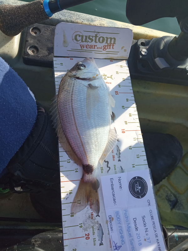 Fish Measure Picture