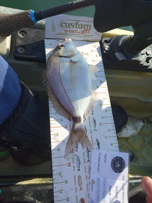 Fish Measure Picture
