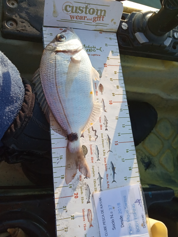 Fish Measure Picture