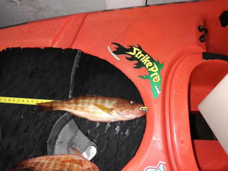Fish Measure Picture