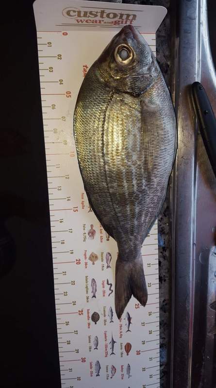 Fish Measure Picture