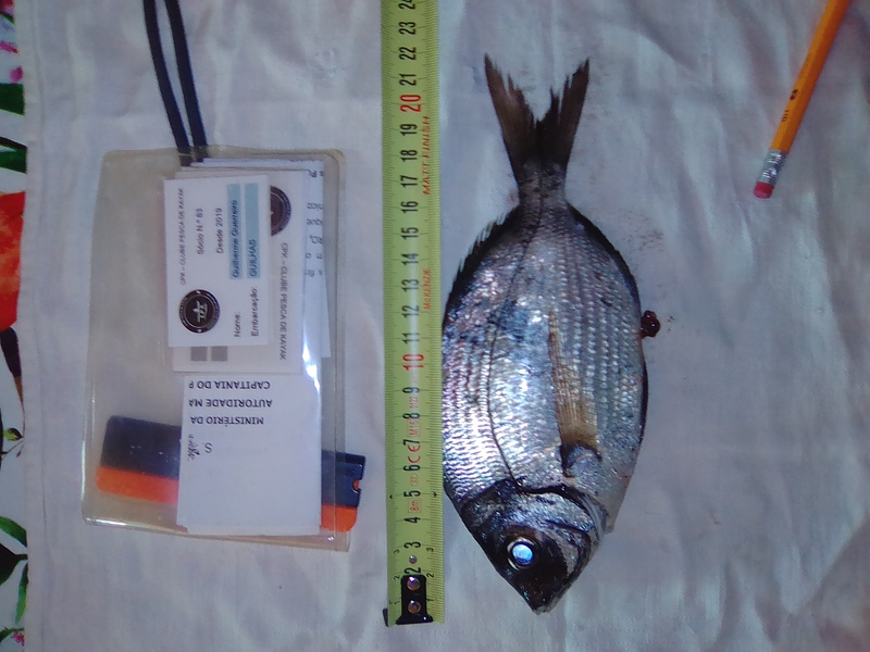 Fish Measure Picture