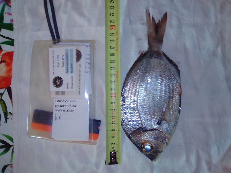 Fish Measure Picture