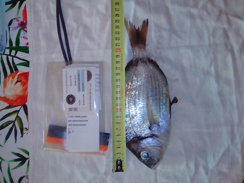Fish Measure Picture