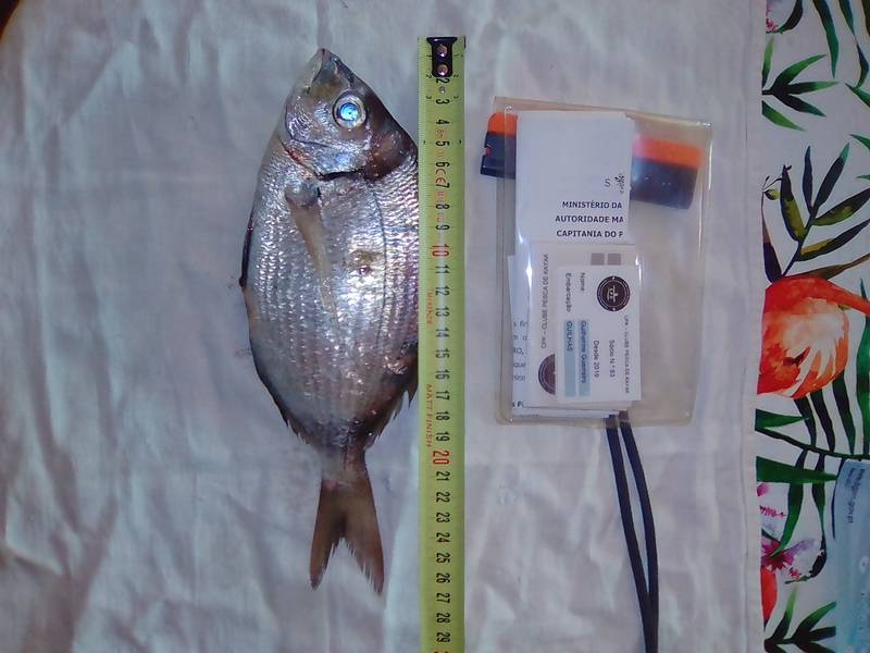 Fish Measure Picture