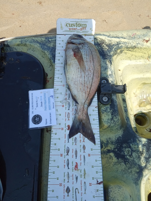 Fish Measure Picture