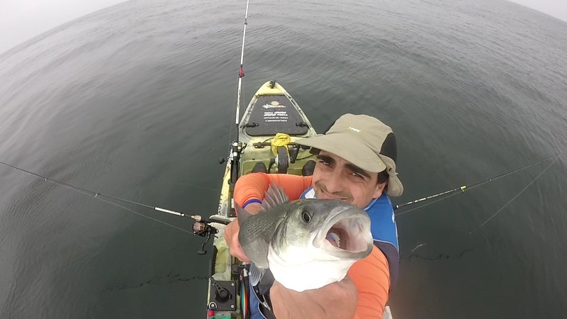 Fish Profile Picture