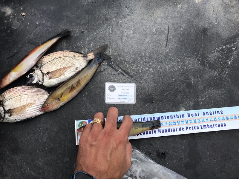 Fish Measure Picture