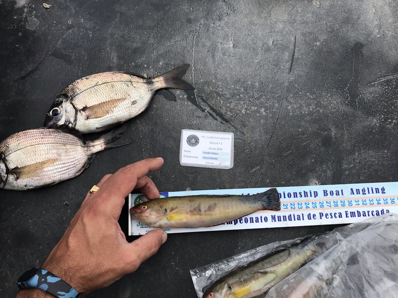 Fish Measure Picture