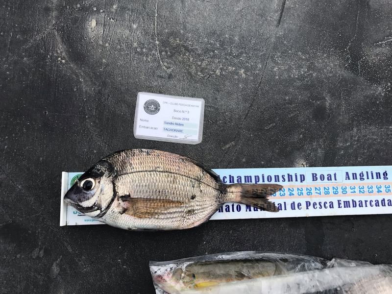 Fish Measure Picture