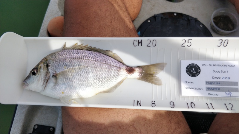 Fish Measure Picture