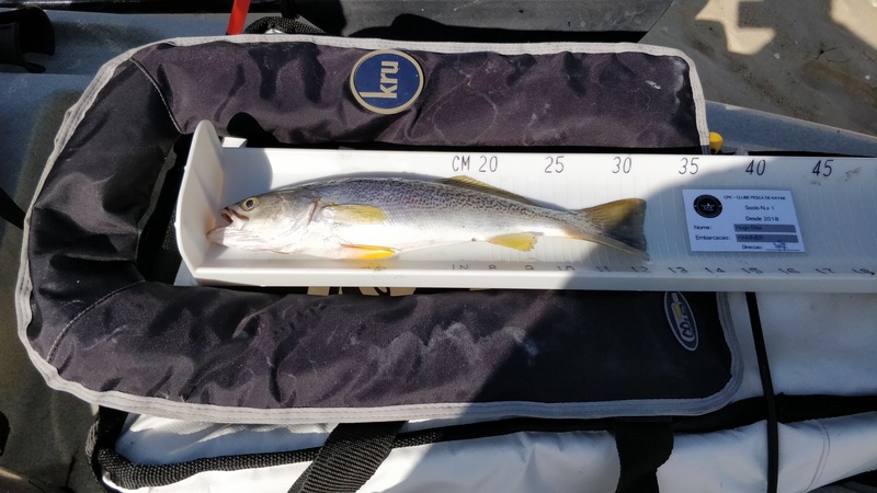 Fish Measure Picture