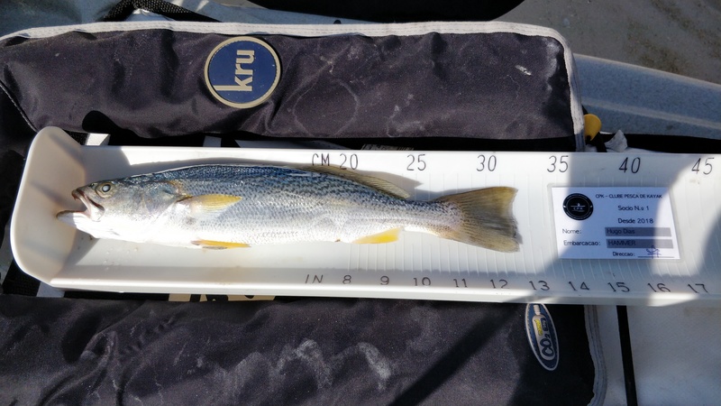 Fish Measure Picture