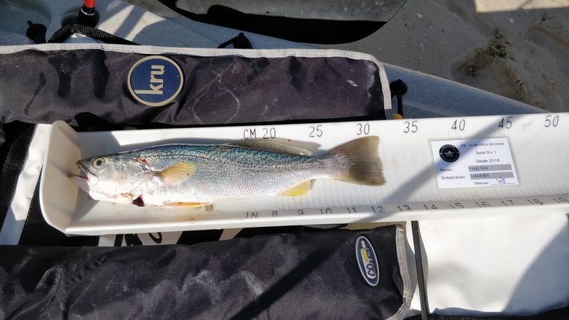 Fish Measure Picture