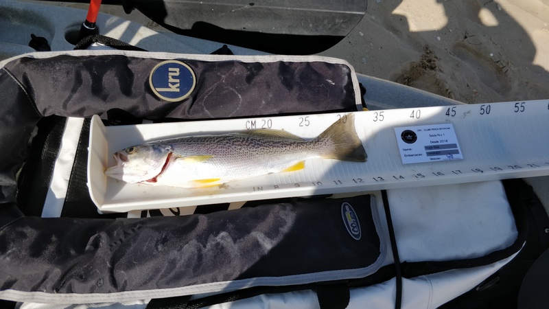 Fish Measure Picture