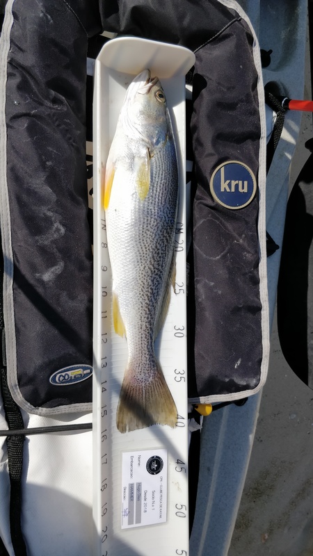 Fish Measure Picture