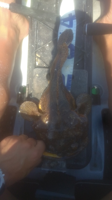Fish Measure Picture