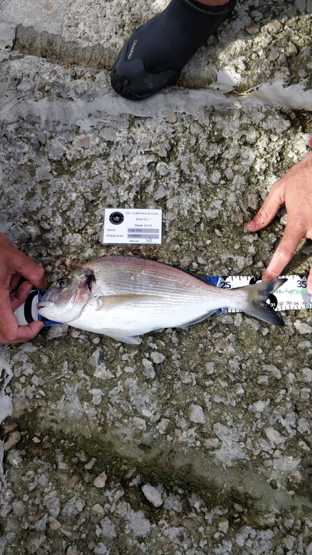 Fish Measure Picture