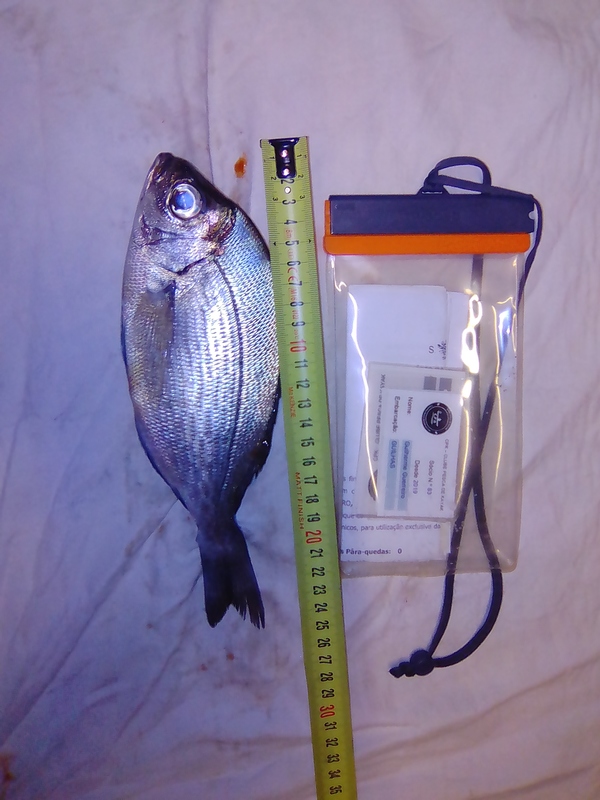 Fish Measure Picture