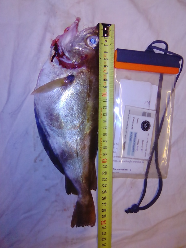 Fish Measure Picture