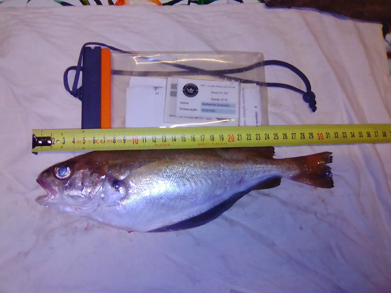 Fish Measure Picture
