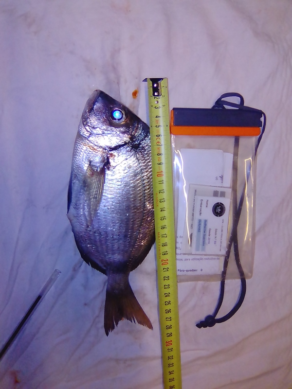 Fish Measure Picture