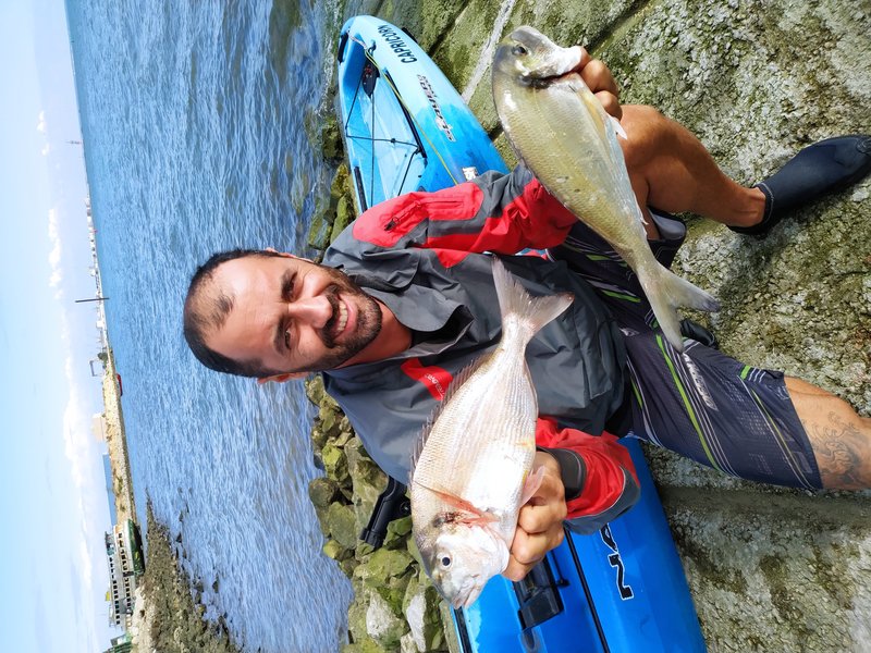 Fish Profile Picture