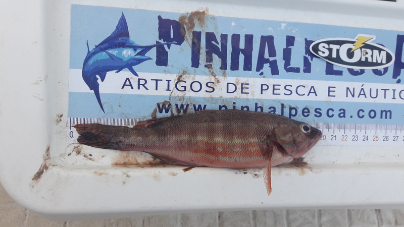 Fish Measure Picture