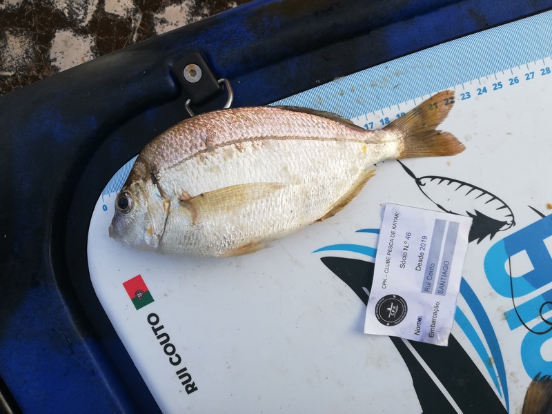 Fish Measure Picture